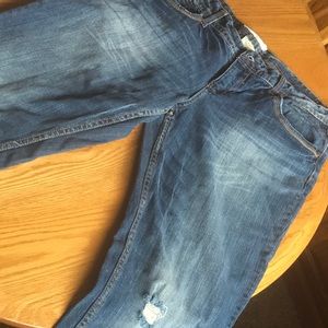 13/14- Maurices boot cut jean with worn knees